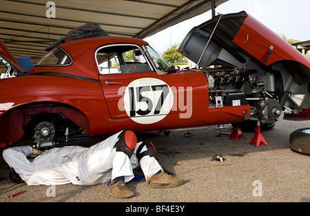 1961 Jaguar E-Type being worked on in the paddock by mechanic. RAC TT entrant at the 2009 Goodwood Revival, Sussex, UK. Stock Photo