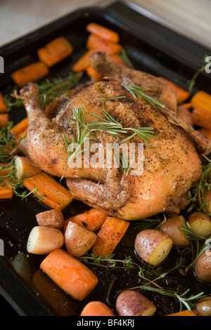 A roast chicken on a baking tray with rosemary, carrots, potatoes and sweet potatoes