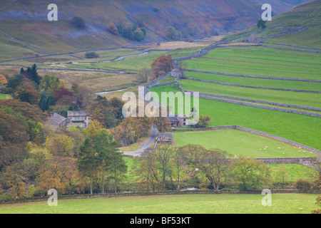 Autumn colours of Arncliffe in Littondale the Yorkshire Dales National Park England Stock Photo