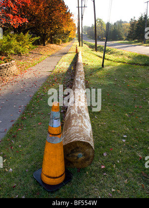 New utility pole waiting to be installed. Stock Photo