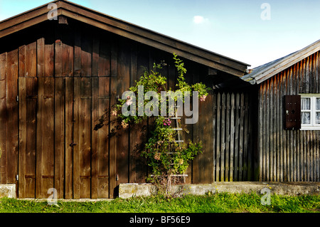 Weathered boat houses with rose tree at the Ammersee lake at Schondorf, Bavaria, Germany, Europe Stock Photo