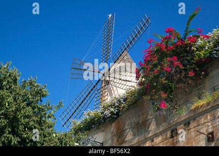 Historic windmill of Es Jonquet in the old town of Palma, Mallorca, Balearic Islands, Spain, Europe Stock Photo