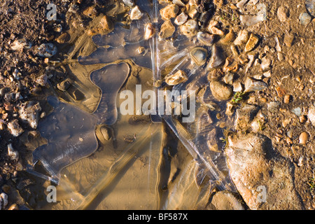 Ice formed on the surface of a footpath puddle. February; winter; pattern; gravel; reflection Stock Photo