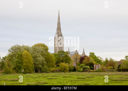 Salisbury Cathedral in Wiltshire, England, UK Stock Photo
