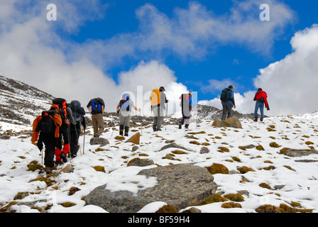 Trekking, hiking group walking in single file on an uphill path through the snow, Shug-La Pass 5250 m, an old pilgrim route thr Stock Photo