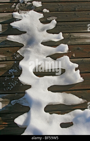Melting ice on boardwalk, Yellowstone NP. Stock Photo