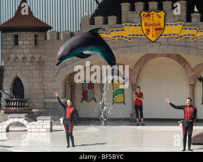 Show with dolphins at Marineland, Niagara Falls Stock Photo