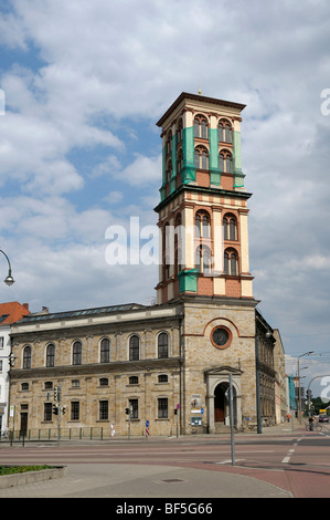 Museum of Natural History and Prehistory, Dessau, Saxony-Anhalt, Germany, Europe Stock Photo