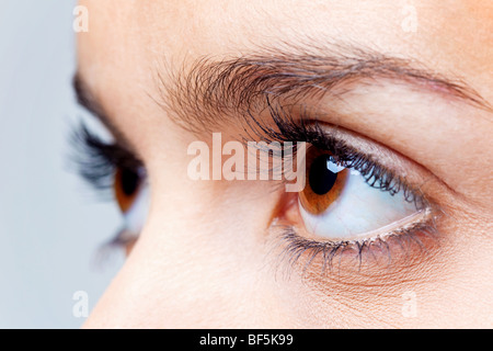 Close up of a females brown eyes Stock Photo