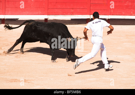 Bullfighting Stock Photo