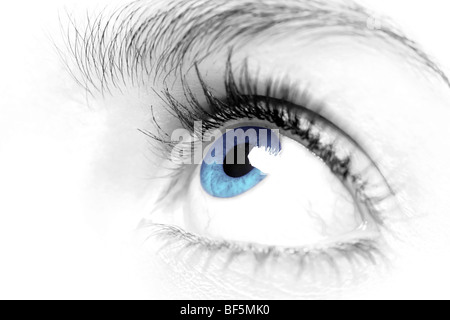 Females blue eye close up