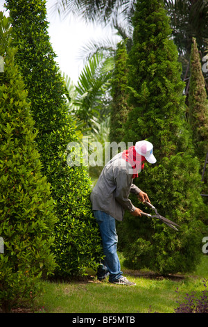 Gardener, workers clipping hedges & trees, shape. Tree Topiary at Suan Nong Nooch or NongNooch Tropical Botanical Garden Resort, Pattaya, Thailand Stock Photo