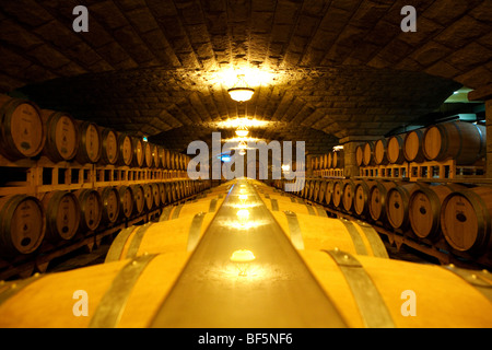 Underground Wine Cellar, zhangyu Wine Culture Museum, Yantai City, Shandong, China Stock Photo