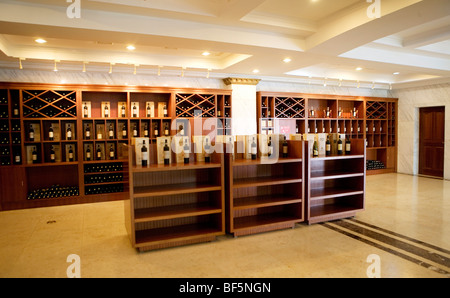 Zhangyu Wine Culture Museum, Yantai City, Shandong, China Stock Photo