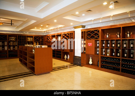 Zhangyu Wine Culture Museum, Yantai City, Shandong, China Stock Photo