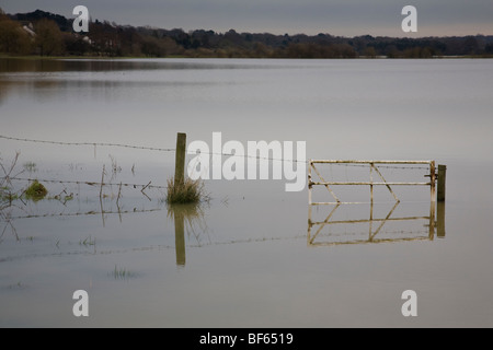 Fencing and gate in a flooded field, Pulborough, West Sussex, England. Stock Photo