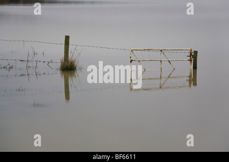 Fencing and gate in a flooded field, Pulborough, West Sussex, England. Stock Photo