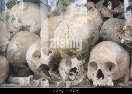Human skulls at Choeung Ek. Stock Photo