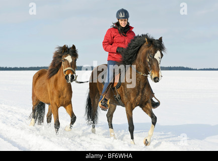 young woman with two Paso Fino horses in the snow Stock Photo