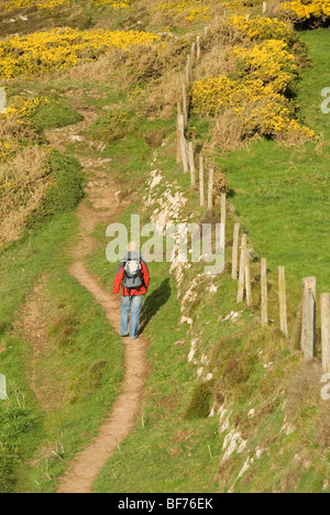 Walker walking along costpath, Pembrokeshire, Wales, UK Stock Photo