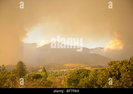 falling ash and smoke surrounds La Cumbre Peak, Jesusita Fire , Santa Barbara, California, United States of America Stock Photo