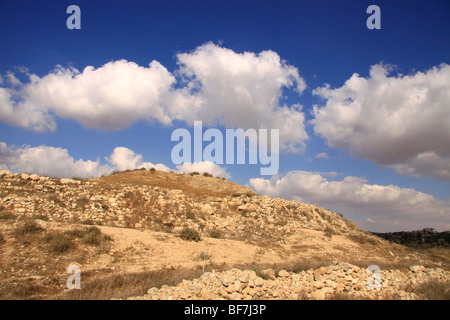 Israel, Shephelah, Tel Beit Mirsim was excavated (1926–32) by W.F. Albright Stock Photo