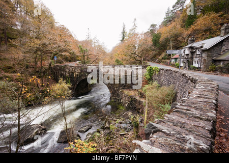 Afon Glaslyn River and bridge in Aberglaslyn Pass in Snowdonia in autumn. Pont Aberglaslyn Beddgelert Gwynedd North Wales UK. Stock Photo