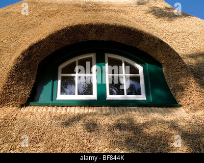 Rooflight on a thatched roof on a farm house in Northern Germany. Stock Photo