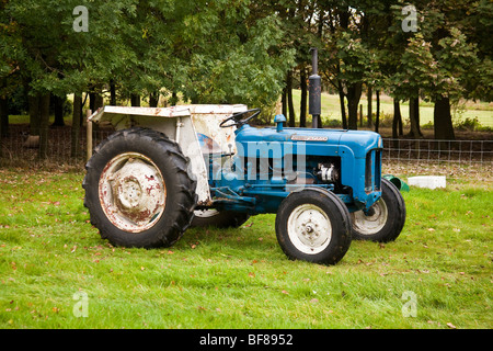 Fordson Dexta vintage tractor. Stock Photo