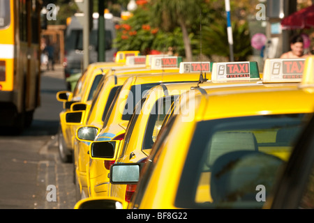 Yellow taxi cabs in a taxi rank, Funchal, Madeira Stock Photo