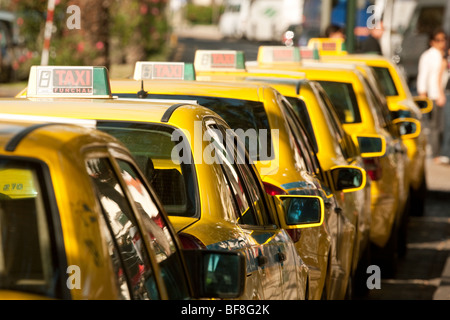 Yellow taxi cabs in a taxi rank, Funchal, Madeira Stock Photo