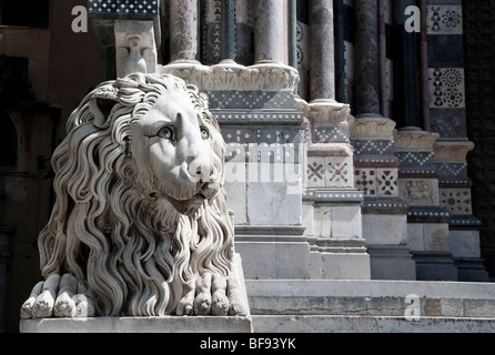 Lion statue at the Cattedrale di San Lorenzo Genoa, Italy Stock Photo