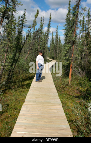 Man on boardwalk near Virginia Falls in Nahanni National Park Reserve, NWT, Canada Stock Photo