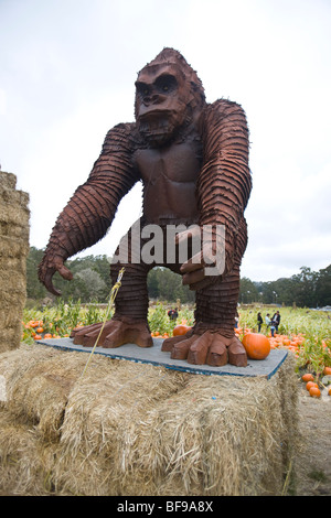 A gorilla statue surrounded by pumpkins, near the 2009 Half Moon Bay Art and Pumpkin Festival. Stock Photo