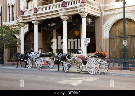 Carriage tours originate at the 1886 Driskill Hotel in downtown Austin, Texas, USA Stock Photo