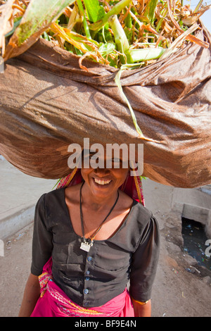 Rajput Woman carrying produce on her head in Pushkar in Rajasthan India Stock Photo