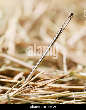Needle is in a haystack Stock Photo