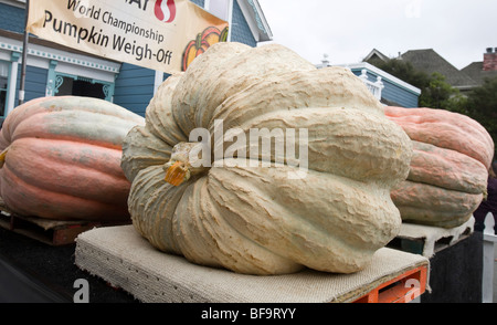 Giant pumpkins on display for the World Championship Pumpkin Weigh-off at the 2009 Half Moon Bay Art and Pumpkin Festival. Stock Photo