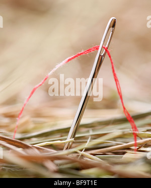 Needle with a red thread in a haystack Stock Photo