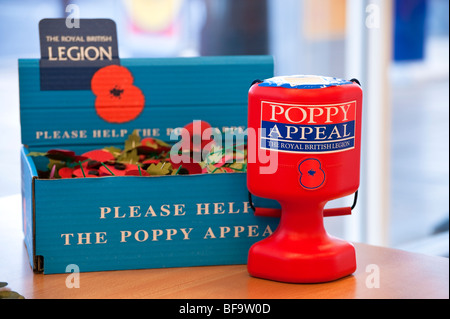The Royal British Legion poppy appeal. Collection box full of red poppies. Charity tin taking money for ex-servicemen. Stock Photo