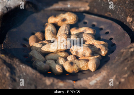 Peanuts Roasting on a fire at the Camel Fair in Pushkar India Stock Photo