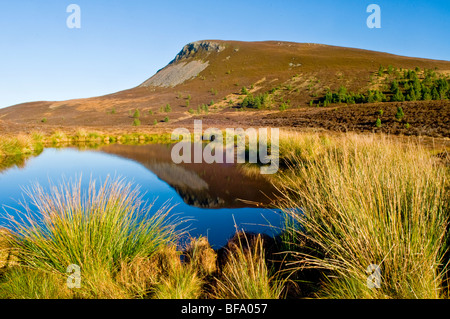 A small Lochan on Dava Moor overlooking the Cairngorms National Park near Grantown on Spey Moray Scotland.  SCO 5518 Stock Photo