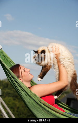 Sacred Cat of Birma, Birman (Felis silvestris f. catus), young woman lying in a hammock holding a male cat into the air with a Stock Photo