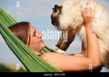 Sacred Cat of Birma, Birman (Felis silvestris f. catus), young woman lying in a hammock holding a male cat into the air with a Stock Photo