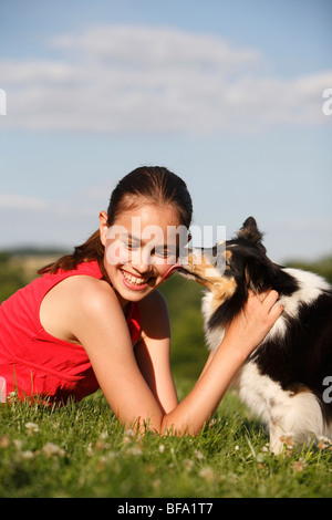 Shetland Sheepdog (Canis lupus f. familiaris), licking a girl at her cheek, Germany