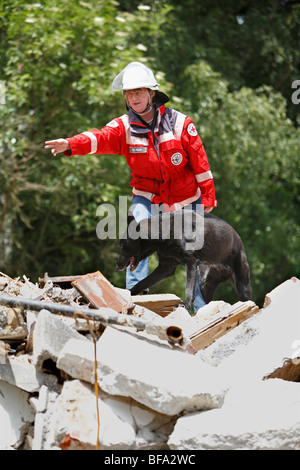 mixed breed dog (Canis lupus f. familiaris), trainer showing a rescue dog the way on a heap of construction rubble Stock Photo