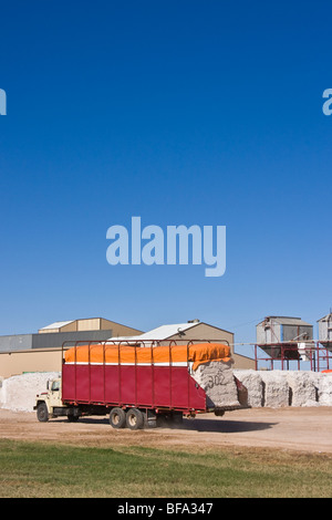 Cotton module with red colored tarp is moved with a module truck to the processing area at a cotton gin in Lamesa, Texas,U.S.A. Stock Photo