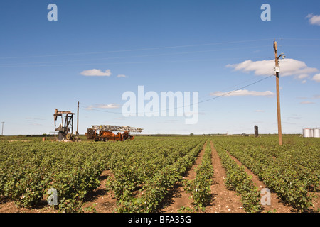 Oil well pump with oil  service truck in a cotton field in the Texas Panhandle. Stock Photo