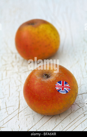 Egremont Russet Desert Apple Variety Malus Domestica laying on old painted wood background Stock Photo