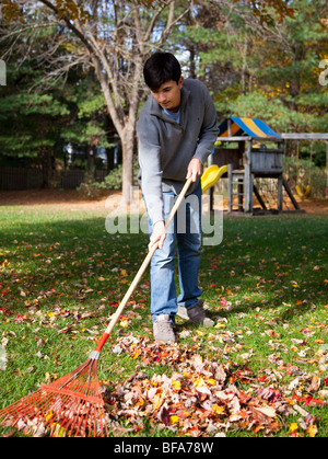 Teenage boy raking leaves Stock Photo